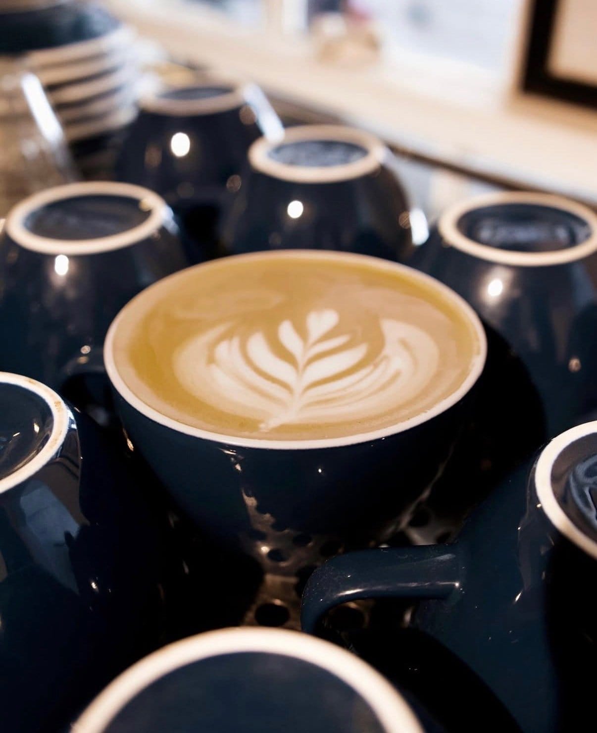Canon Coffee photo 4