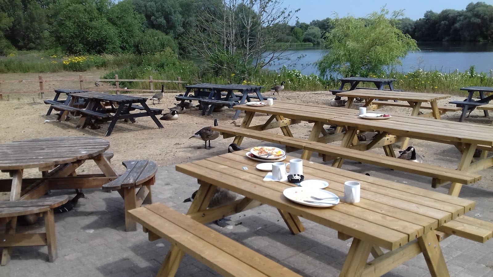 Waterfront Cafe