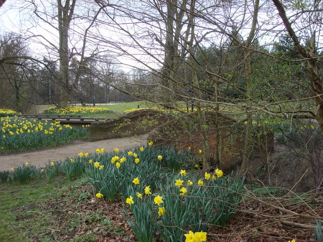 Grounds Cafe Nowton Park photo 4