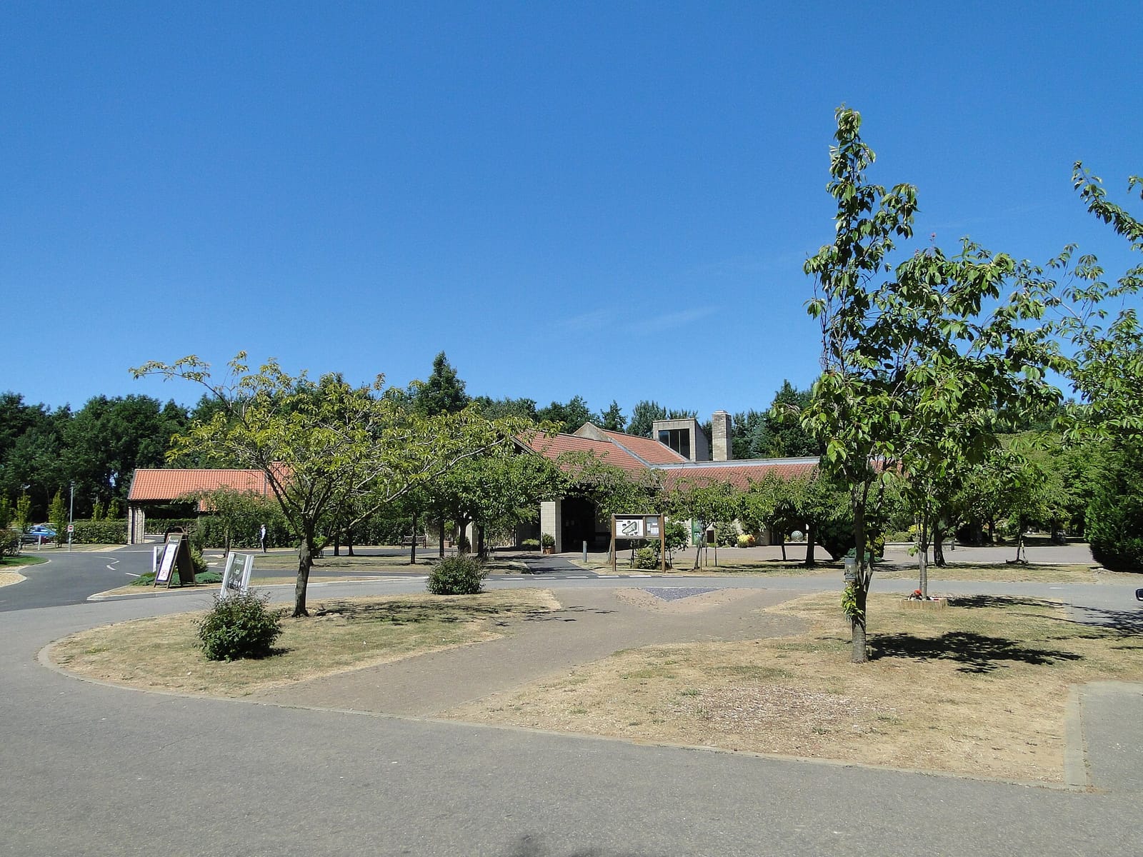 Meadow Café photo 2