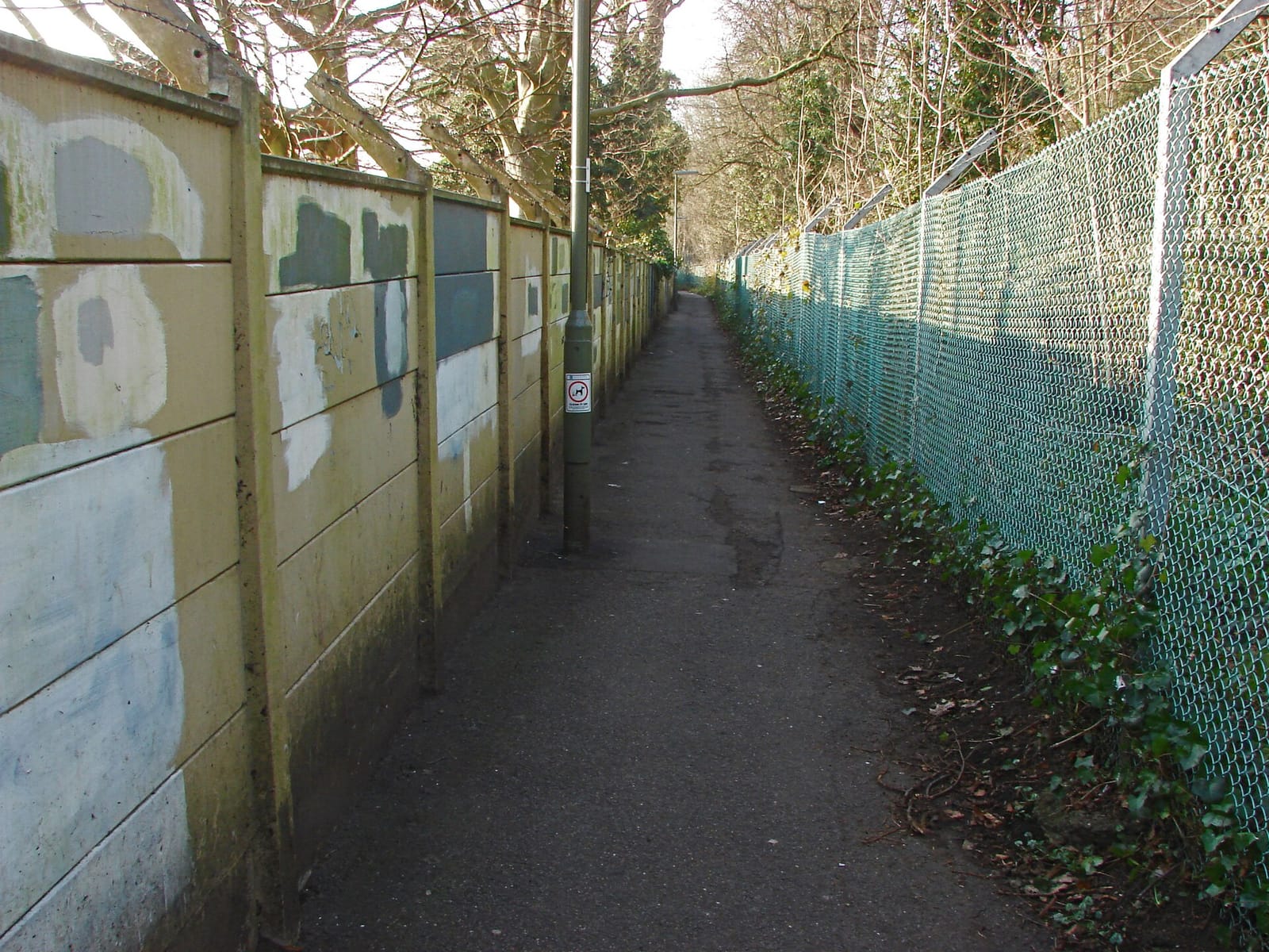 The Woodbridge Cafe photo 2