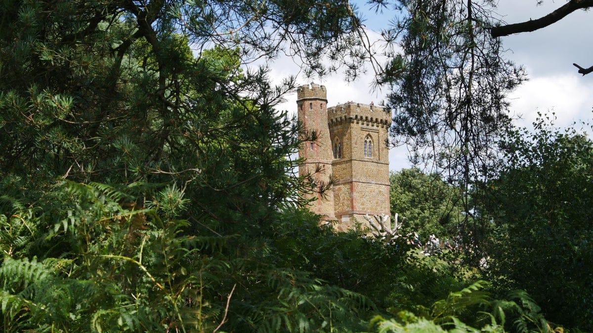 Leith Hill Tower