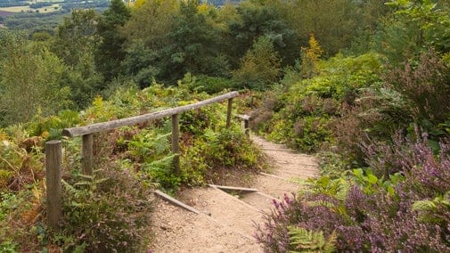 Leith Hill Tower photo 6