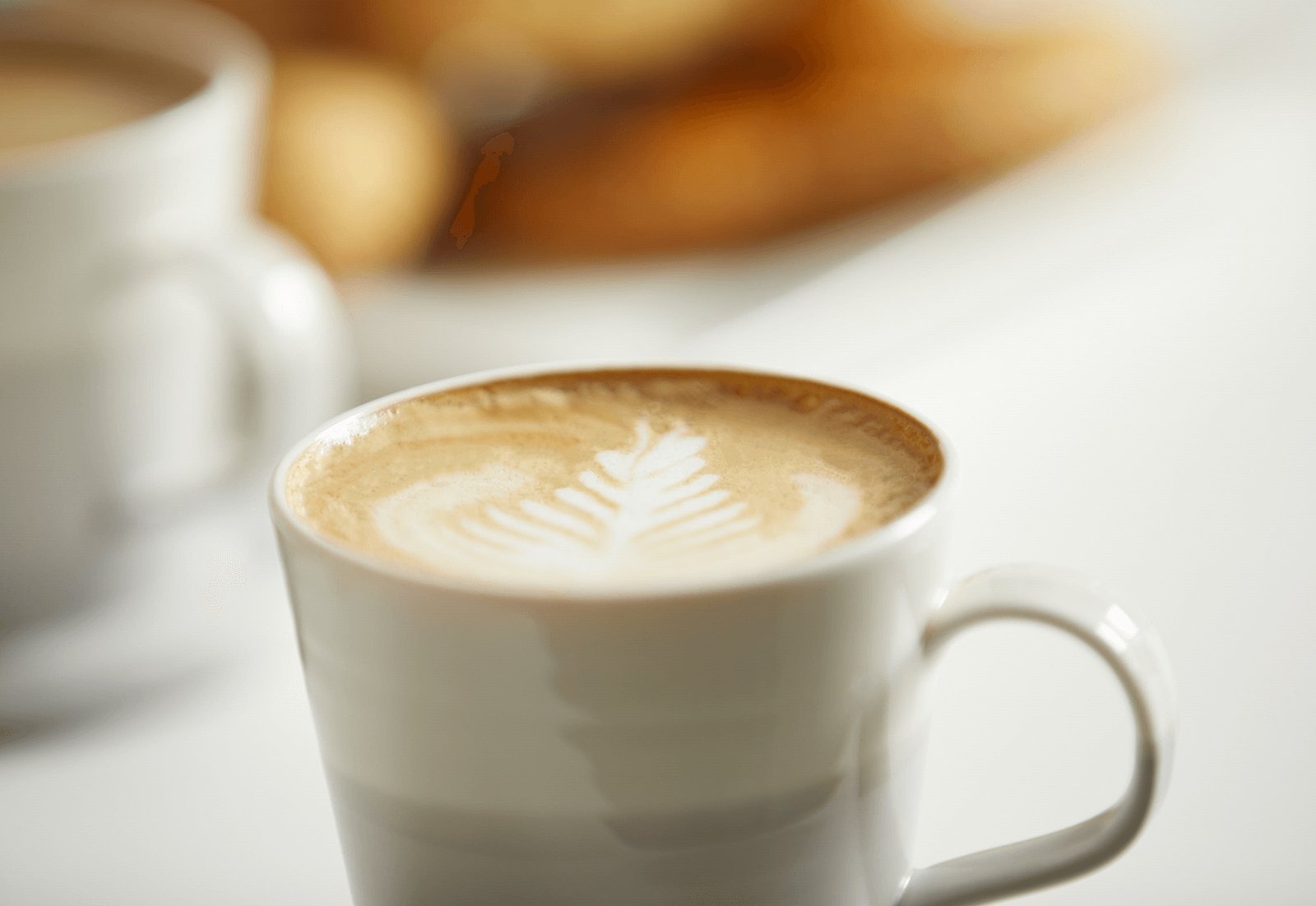 Puccino's photo 3
