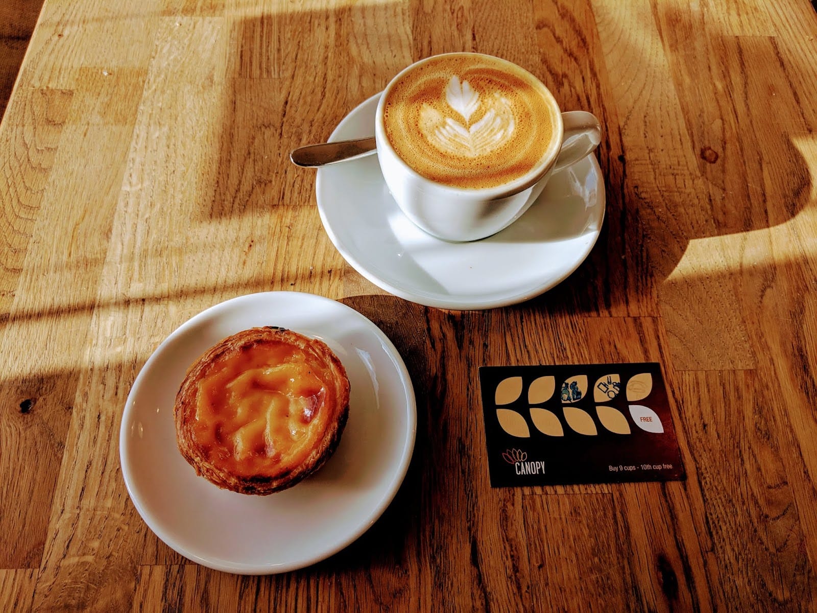 Canopy Coffee