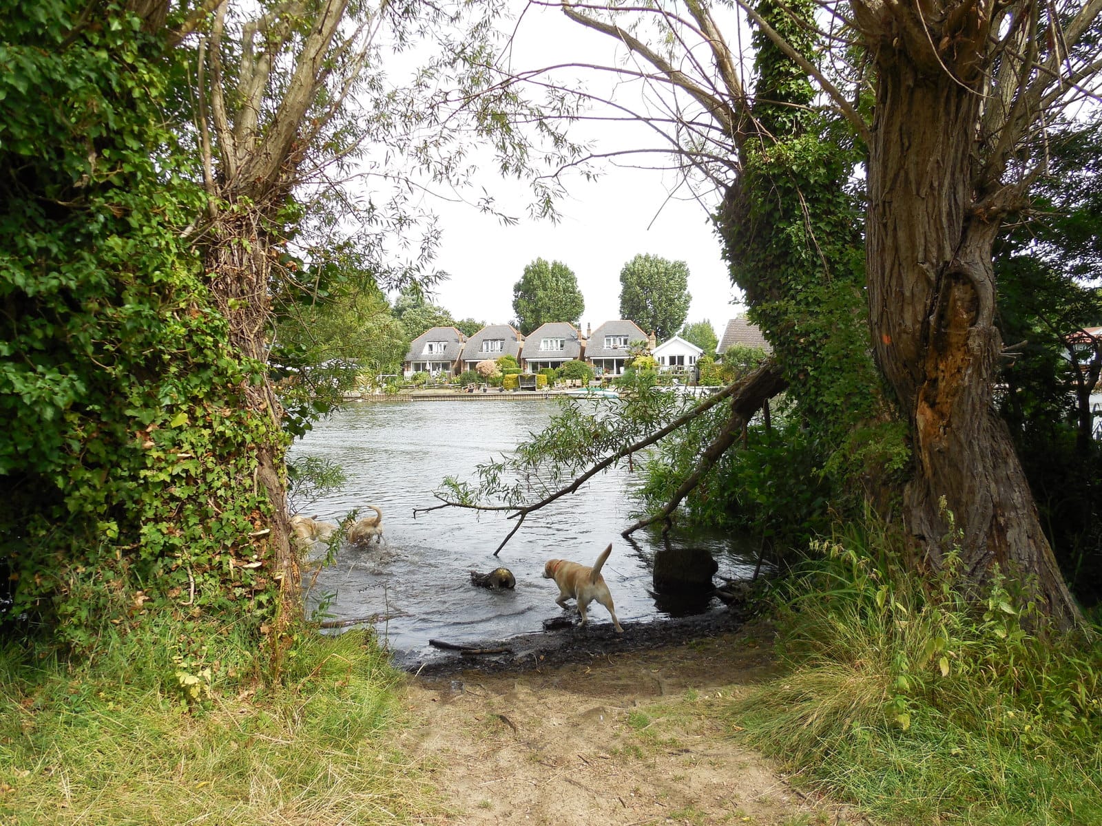 The Boathouse photo 4