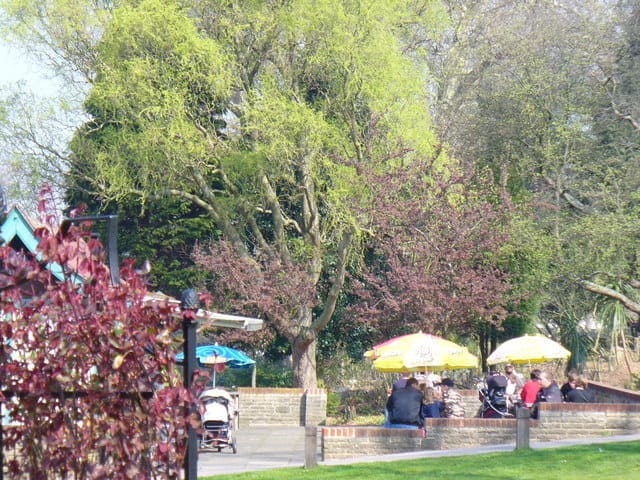 Stoke Park Kiosk photo 3