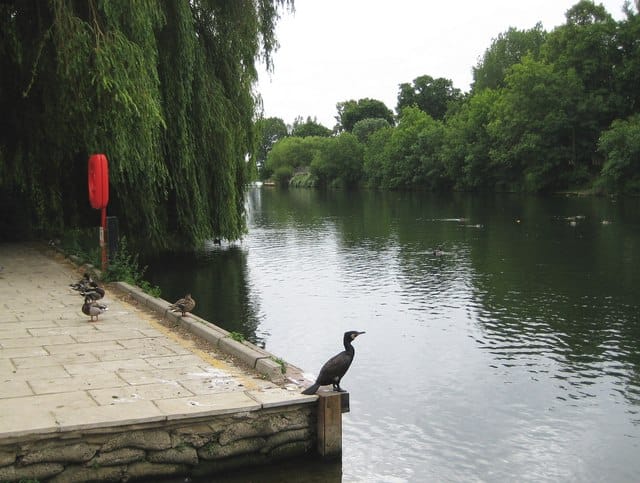 The Little Green Boat Company - Staines Cafe photo 5