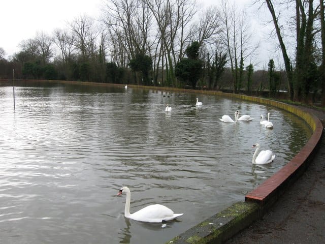 The Lakes Cafe photo 4