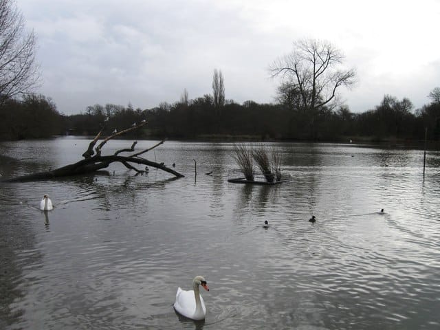 The Lakes Cafe photo 3