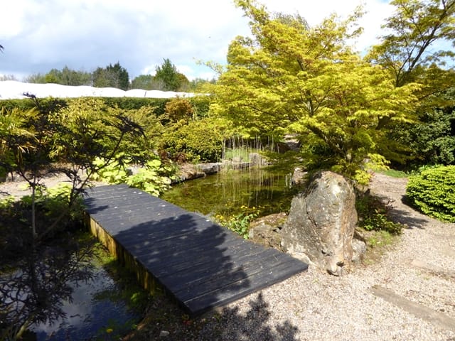 Birkheads Secret Garden Coffee Shop photo 4