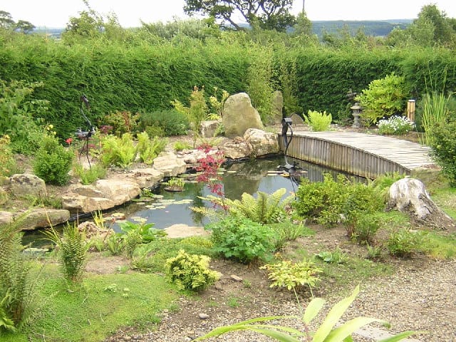 Birkheads Secret Garden Coffee Shop