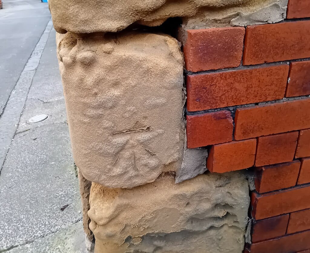 PureKnead