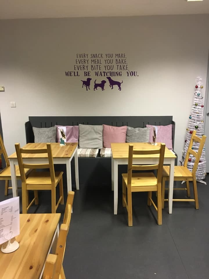 Cafe K9