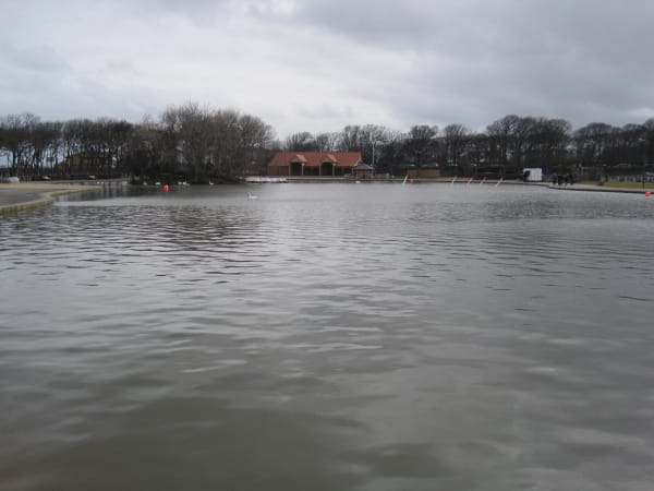 Toney Minchella @ South Marine Park photo 3