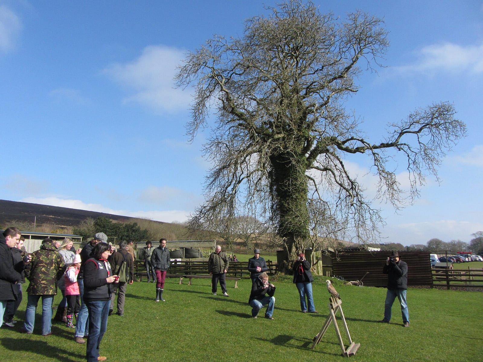 Perriswood Archery & Falconry Centre photo 2