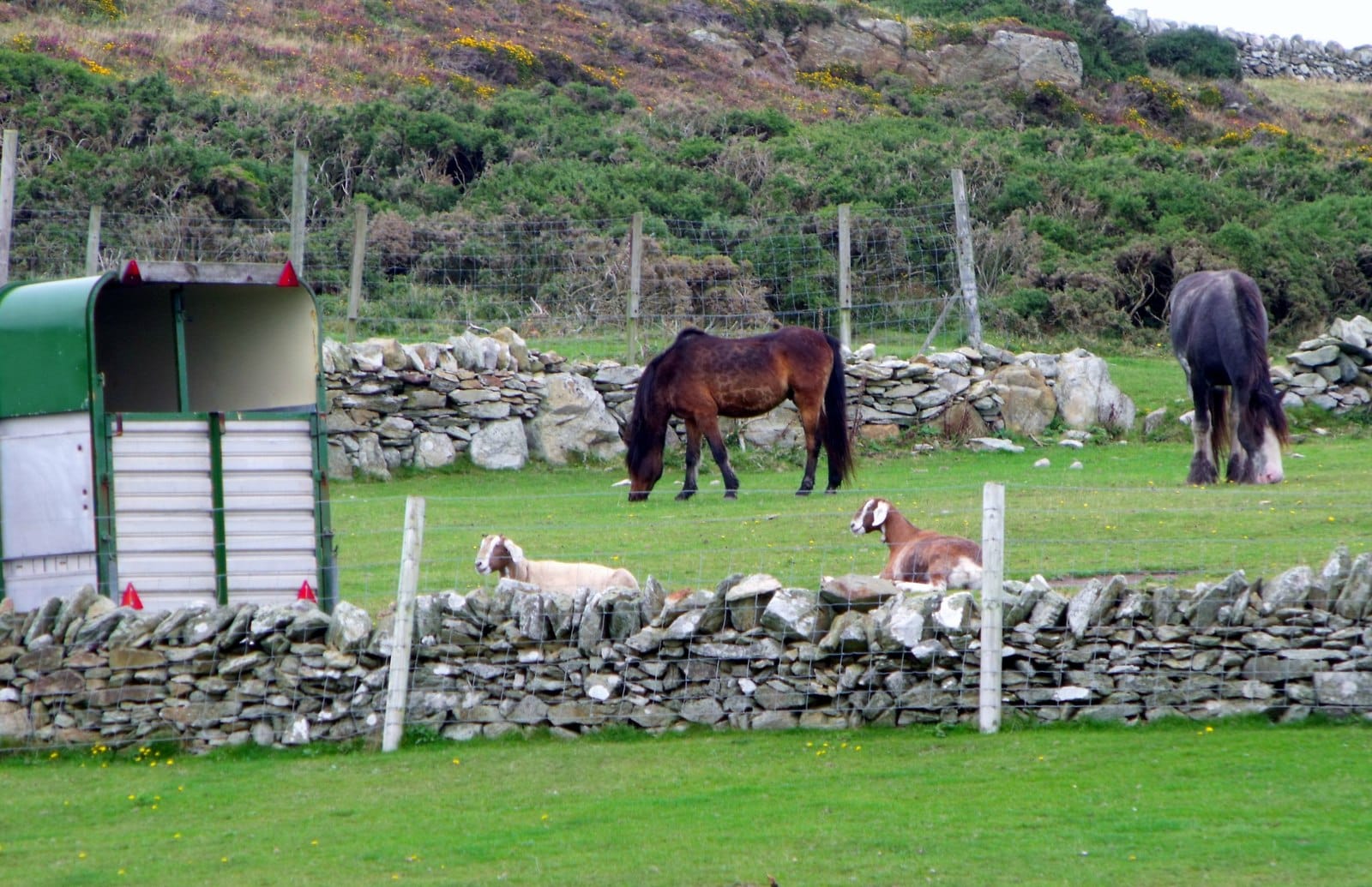 South Stack Cafe photo 3