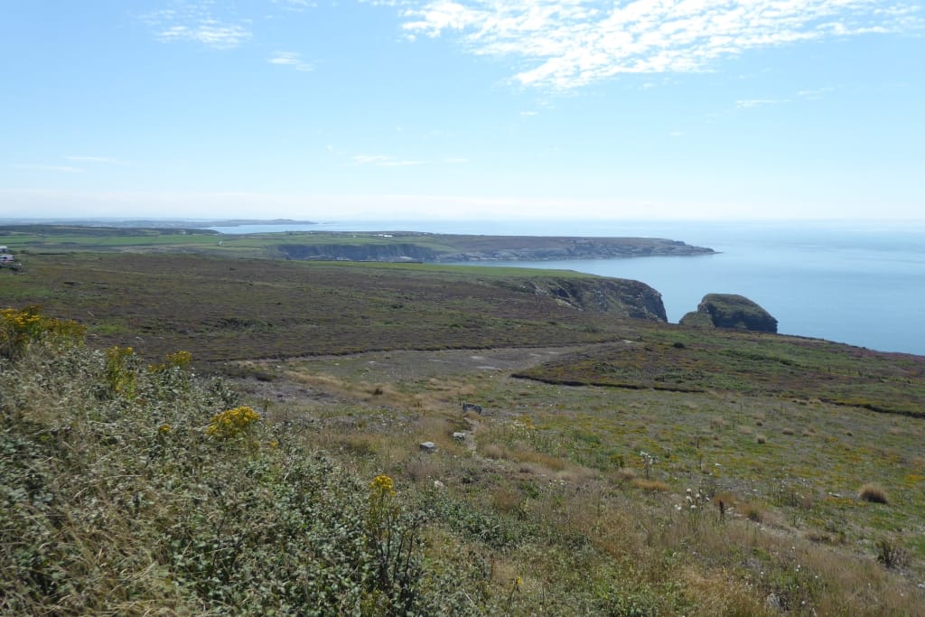 South Stack Cafe photo 4