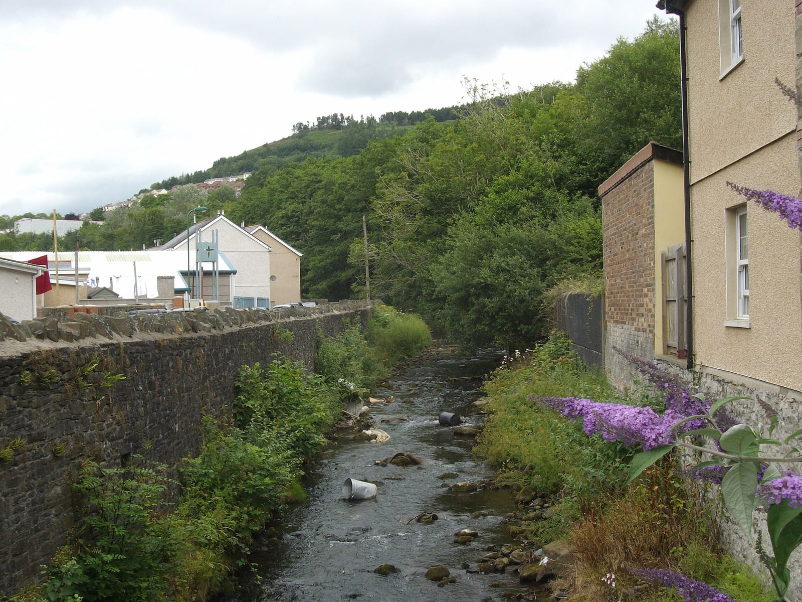 Ty Ebbw Fach Cafe photo 3