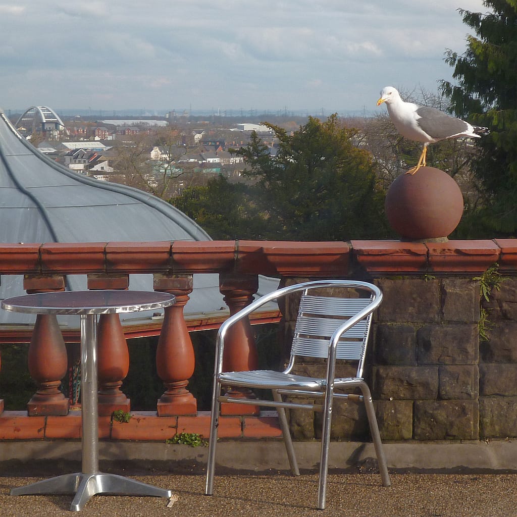 Belle Vue Tea Rooms photo 2