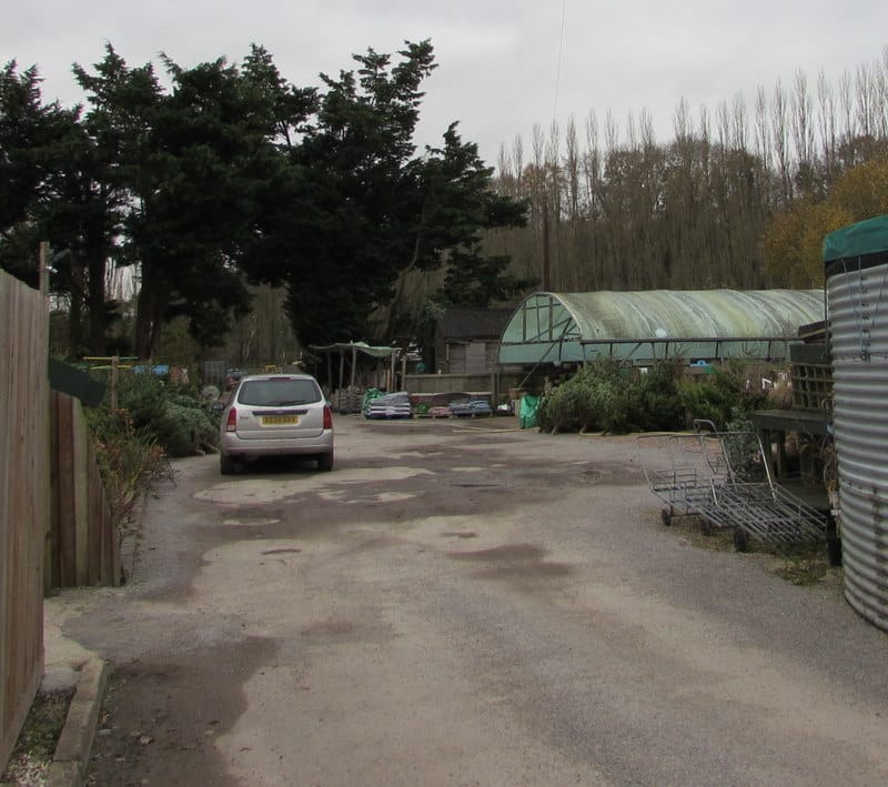 Willows Tea Room photo 3
