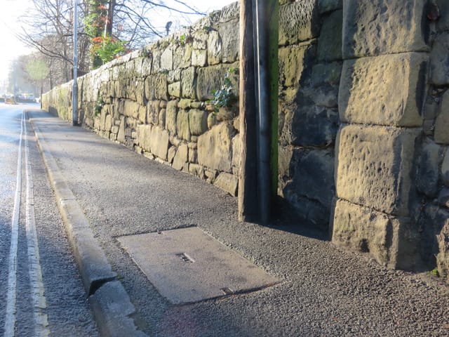 Caffi Cwtch photo 3