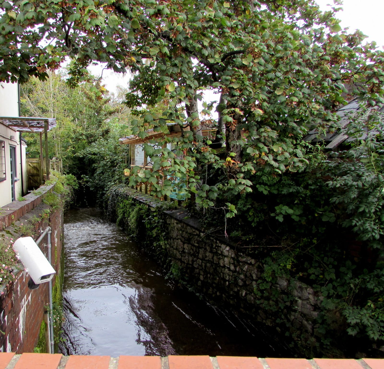 The Secret Shed photo 5