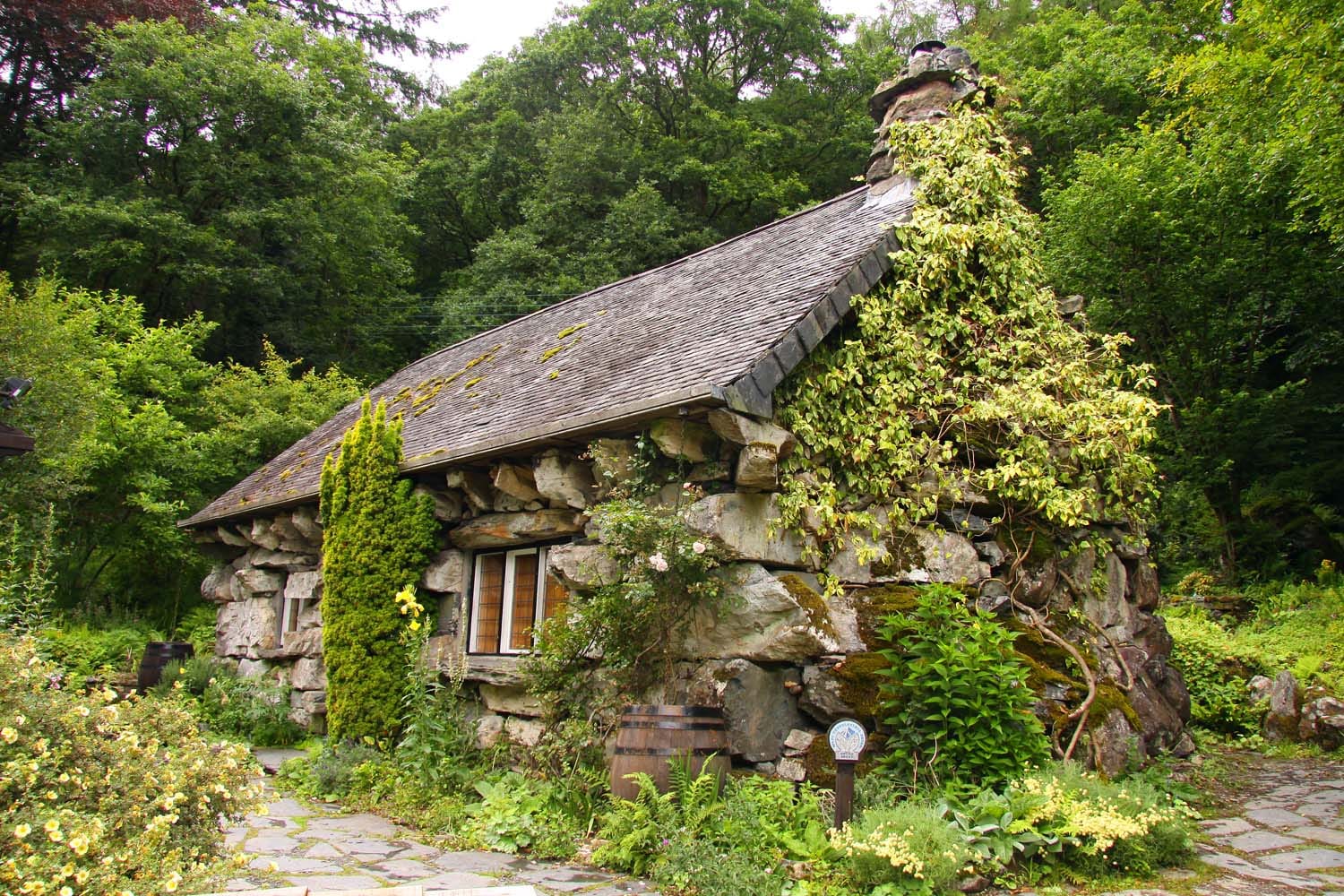 The Ugly House photo 4