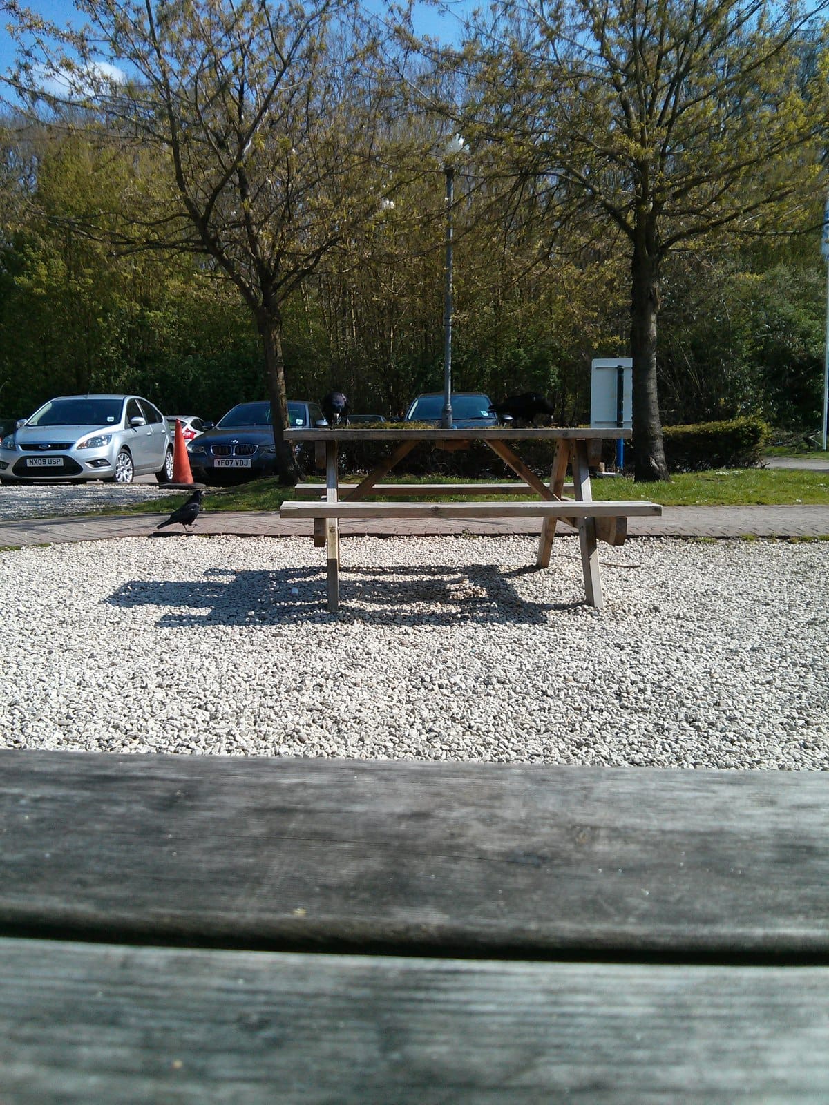 Starbucks photo 3