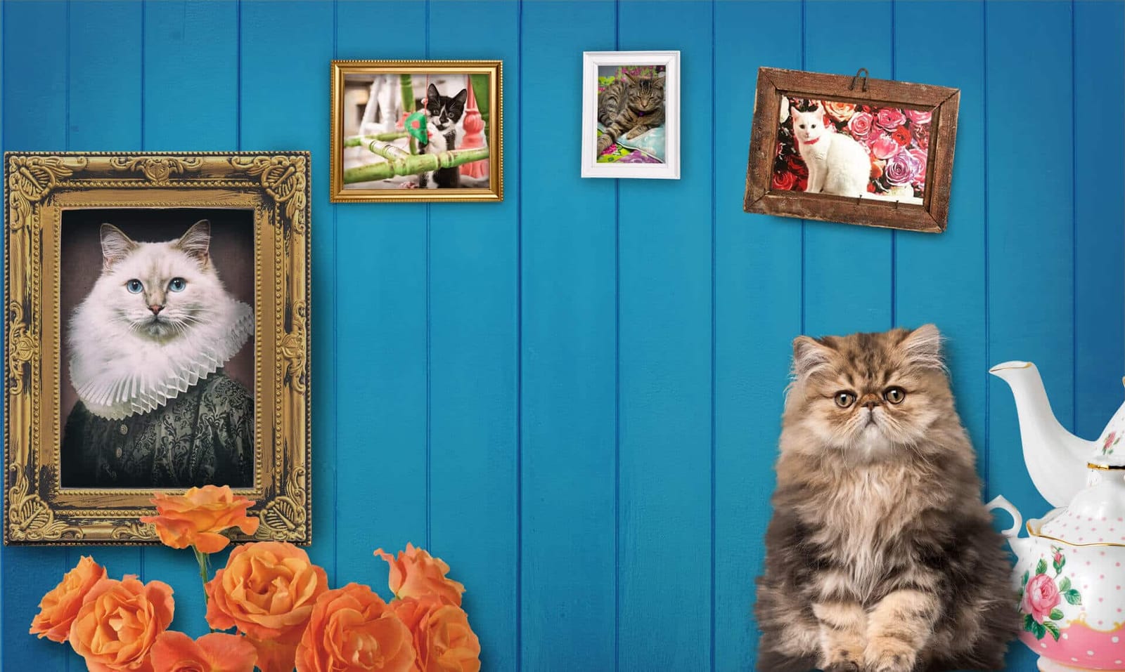 Shakespaw Cat Cafe