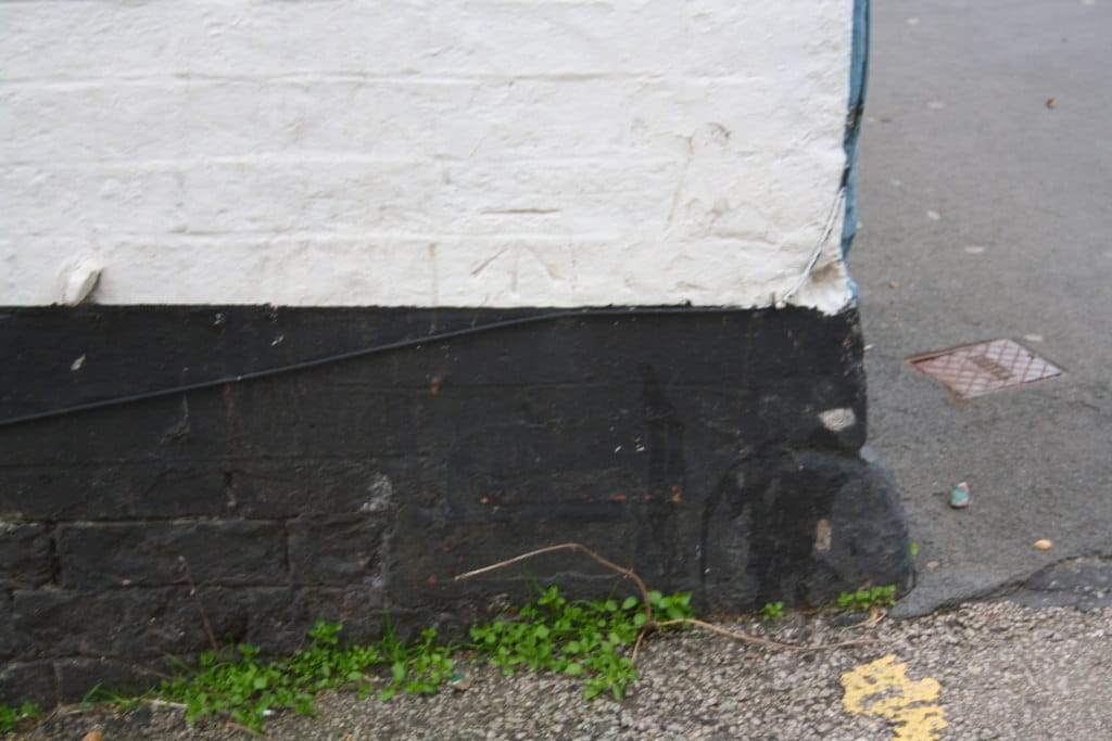 Plant Me photo 4