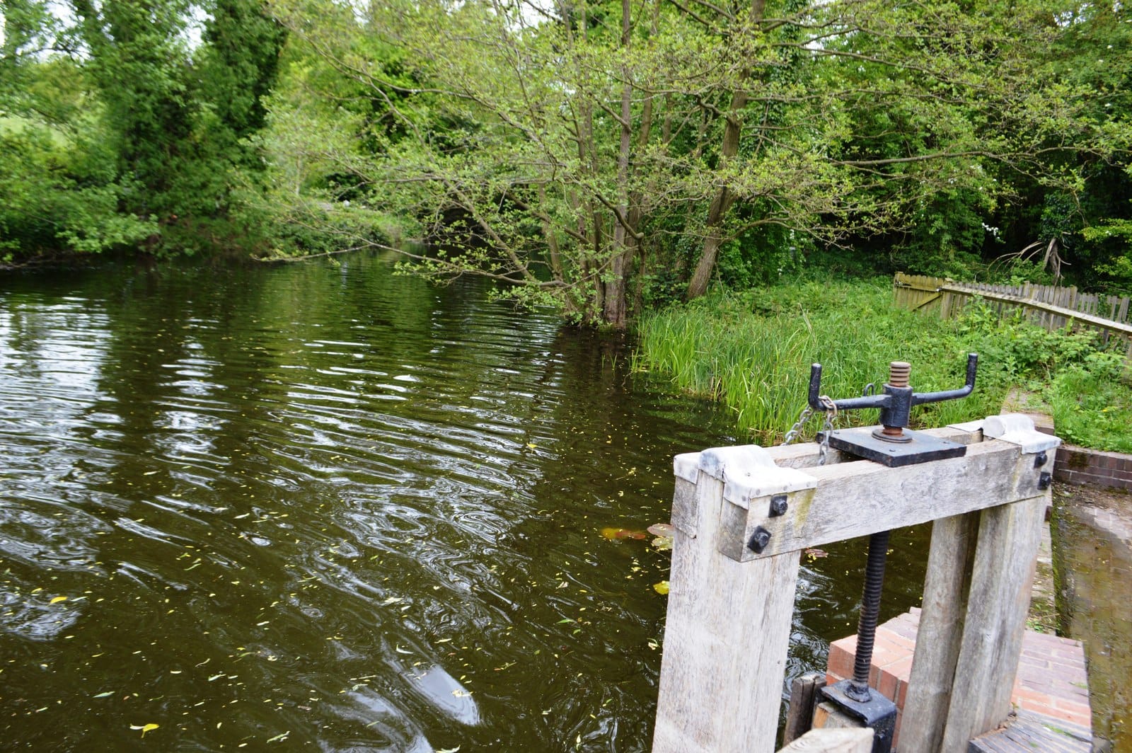 New Hall Mill Tea Room photo 3