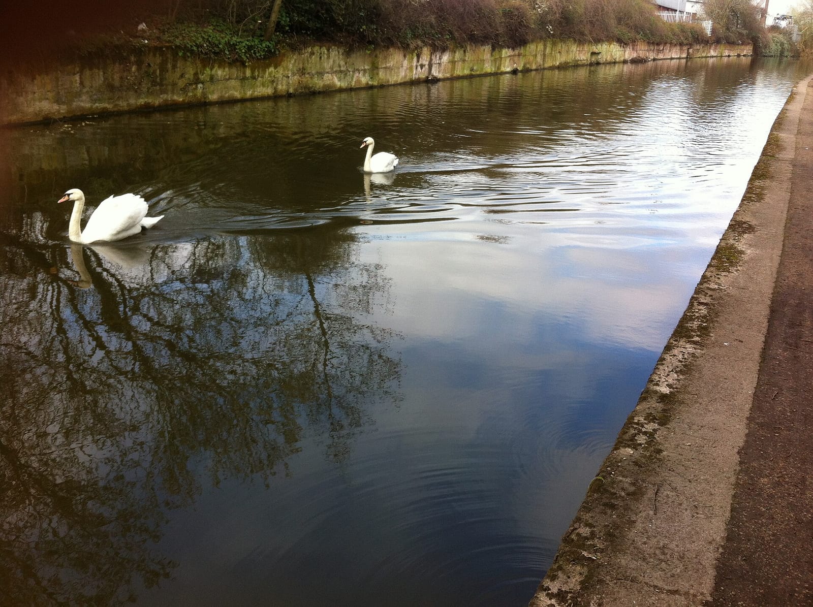 Costa photo 2