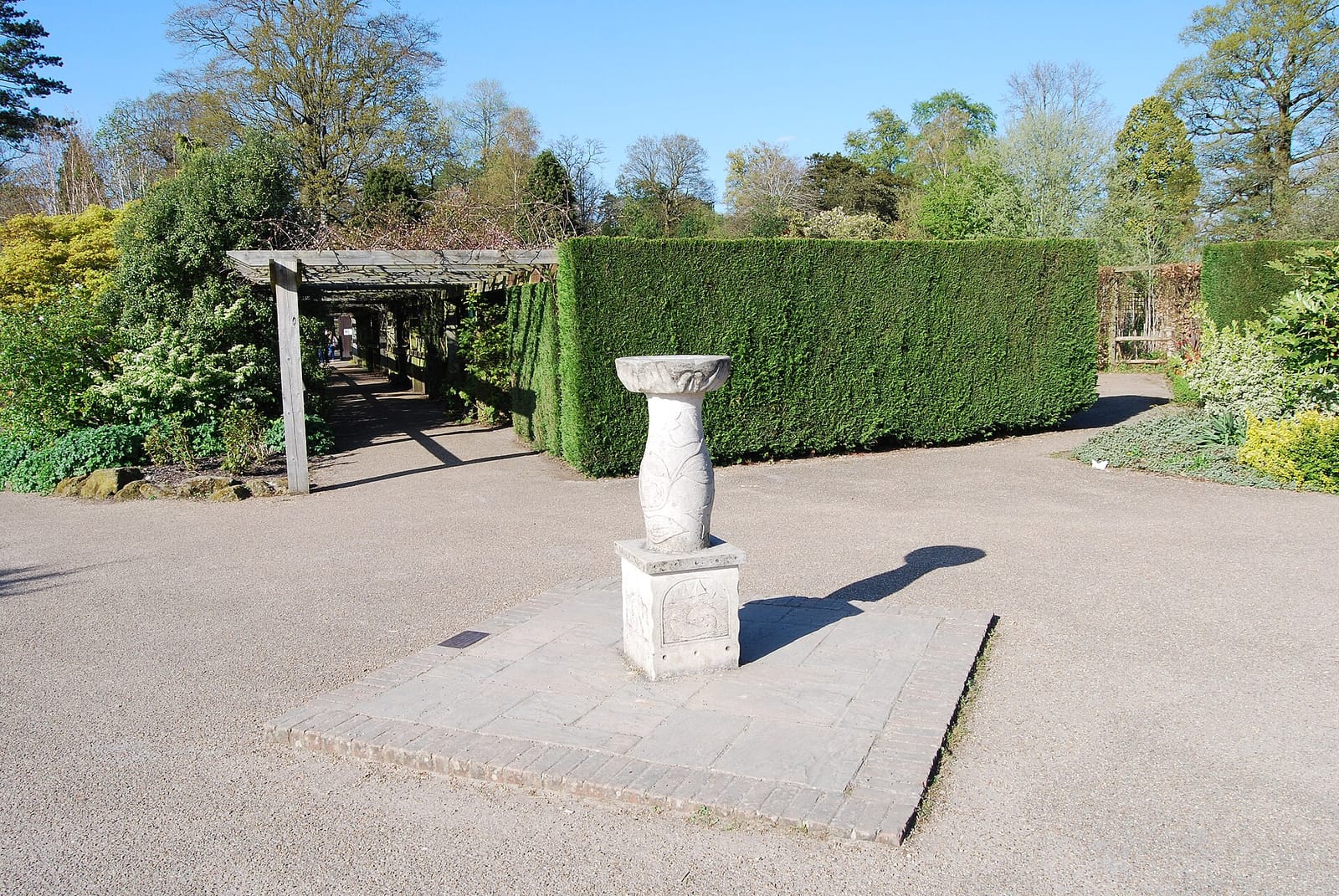 The Walled Garden Community Cafe photo 5