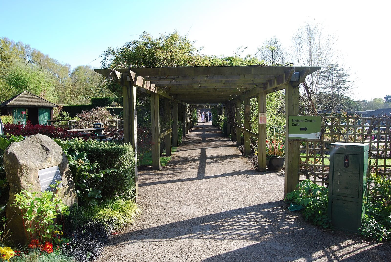 The Walled Garden Community Cafe photo 3