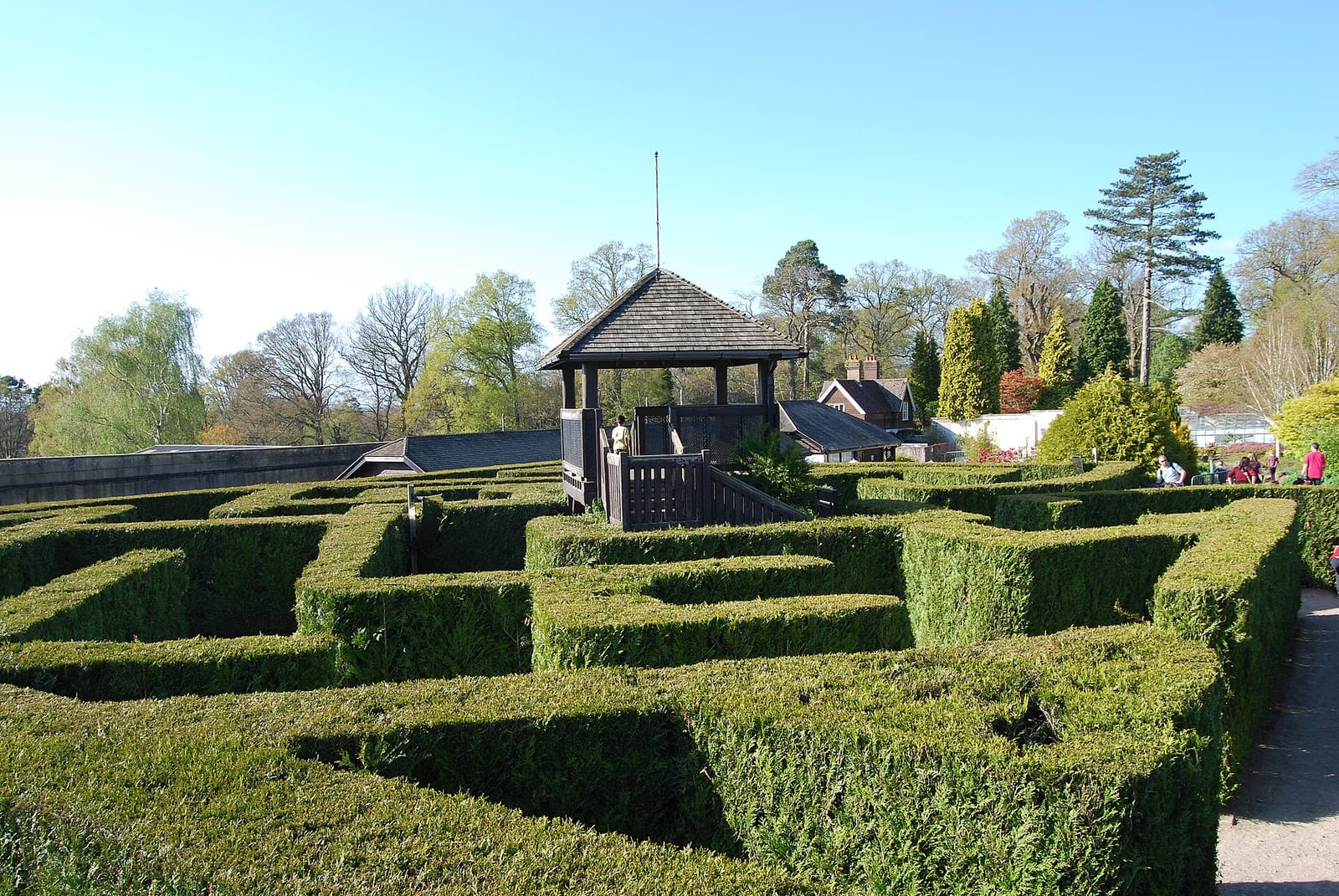 The Walled Garden Community Cafe photo 4
