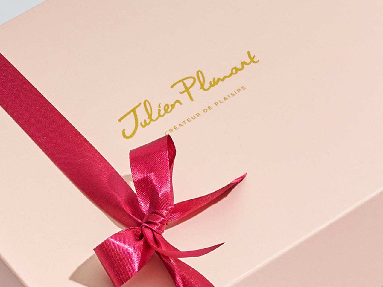 Julien Plumart photo 4