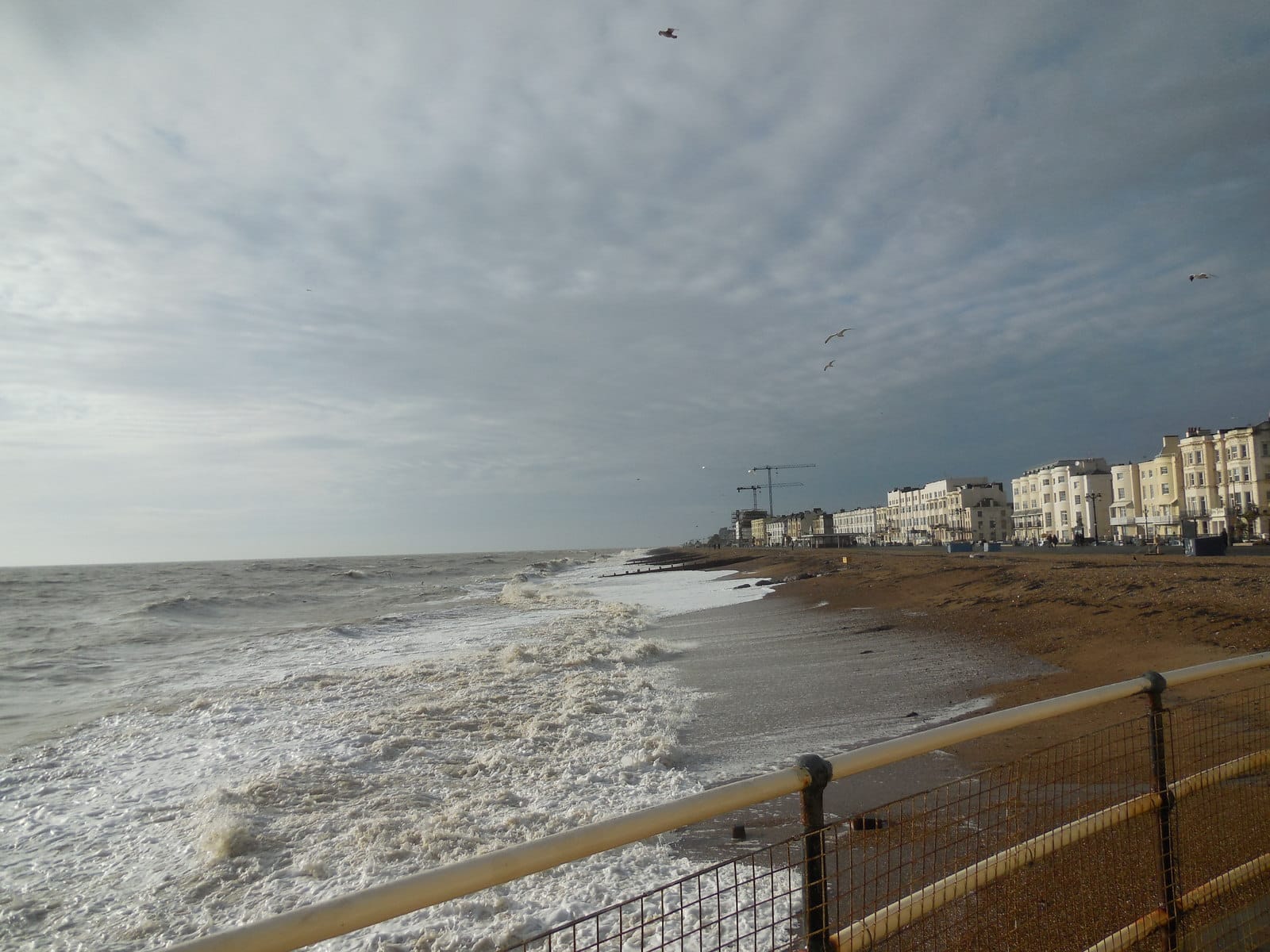 The Lido Cafe photo 6