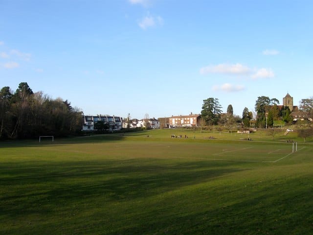 Tory's Cafe in the Park photo 3