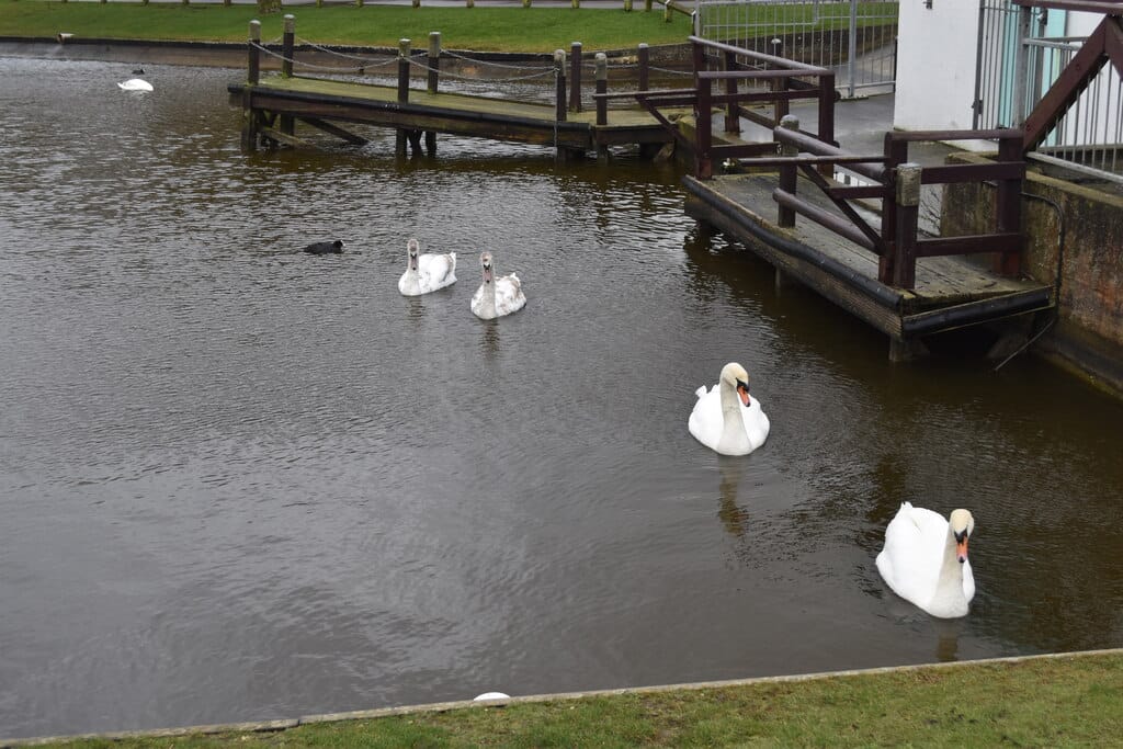Mewsbrook Park Cafe photo 4