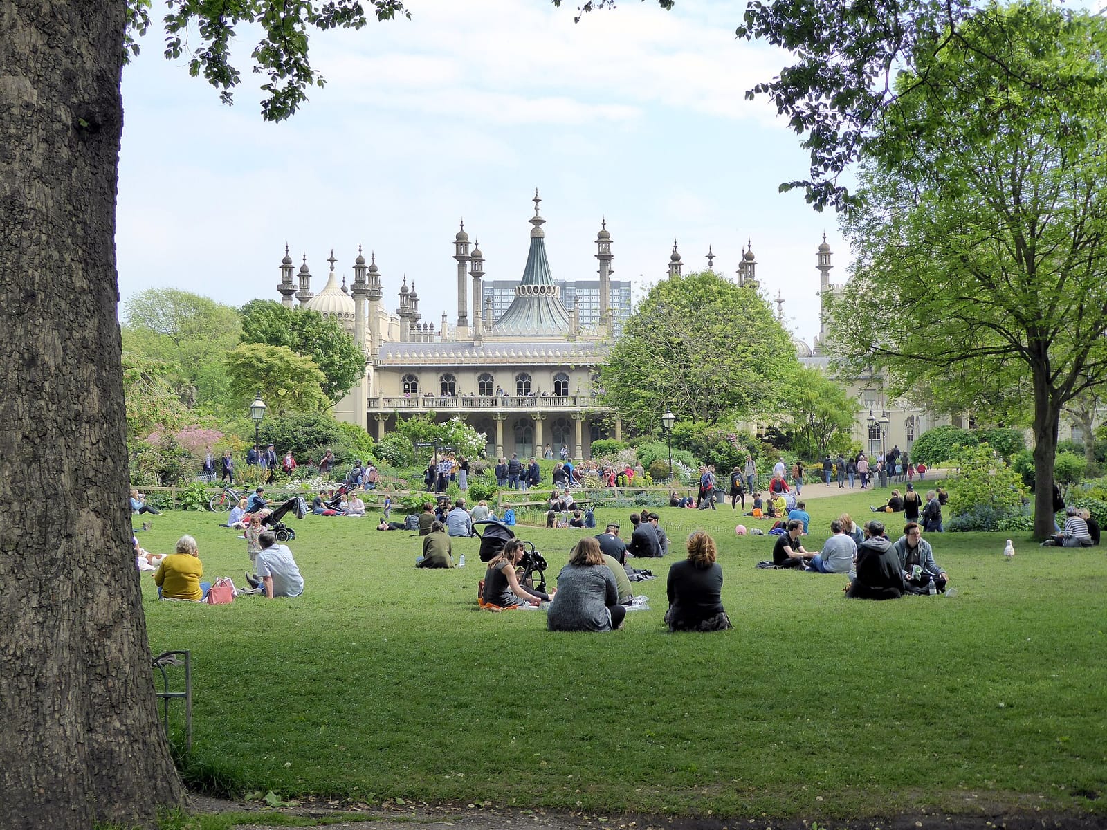Pavilion Gardens Cafe photo 2