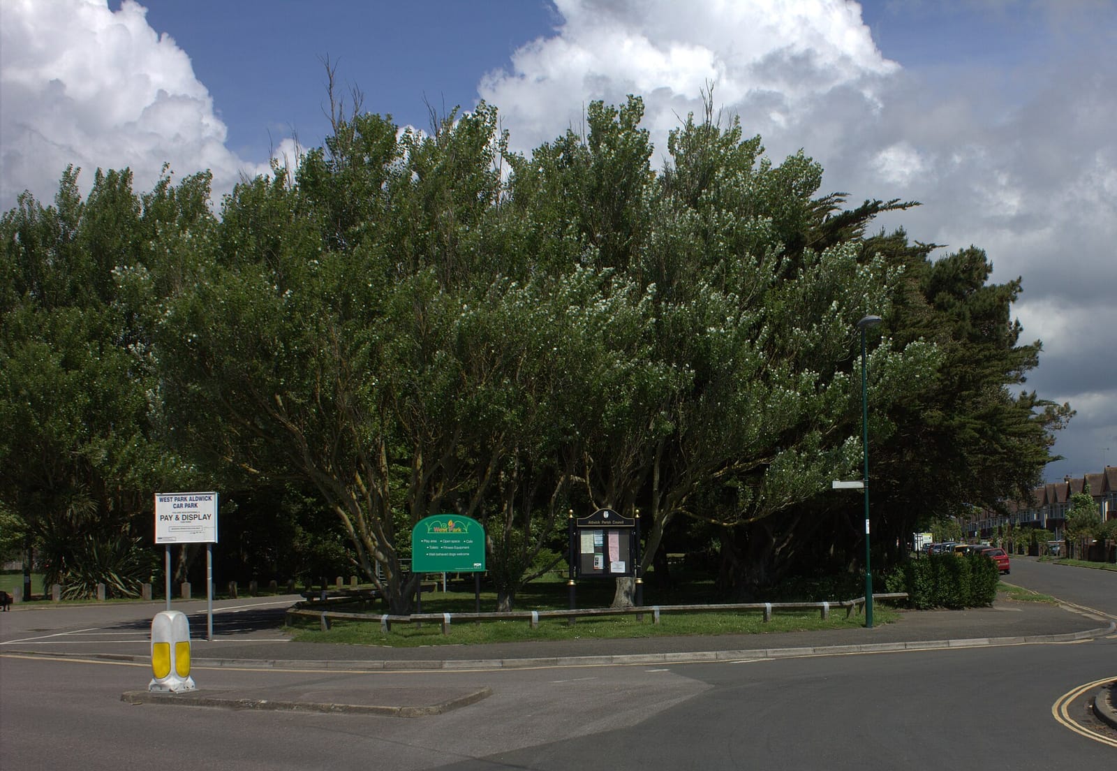 West Park Café photo 2