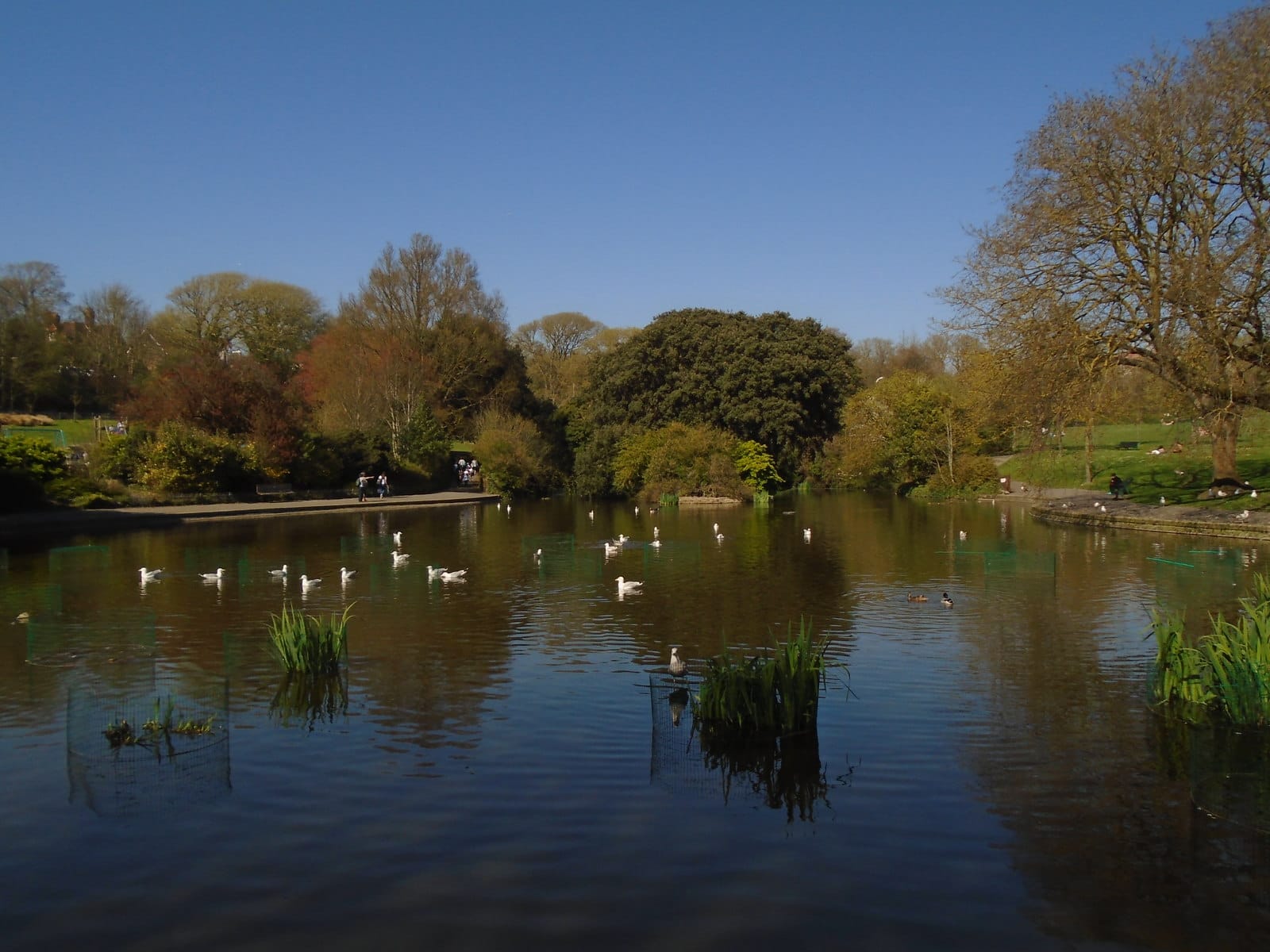 Queens Park Cafe photo 2