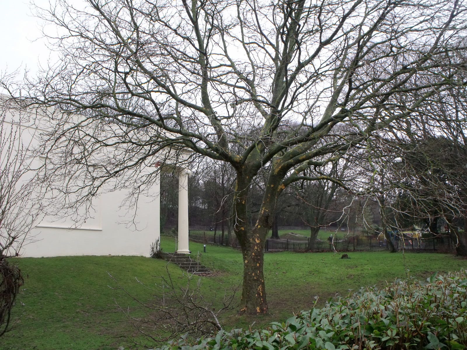 Queens Park Cafe