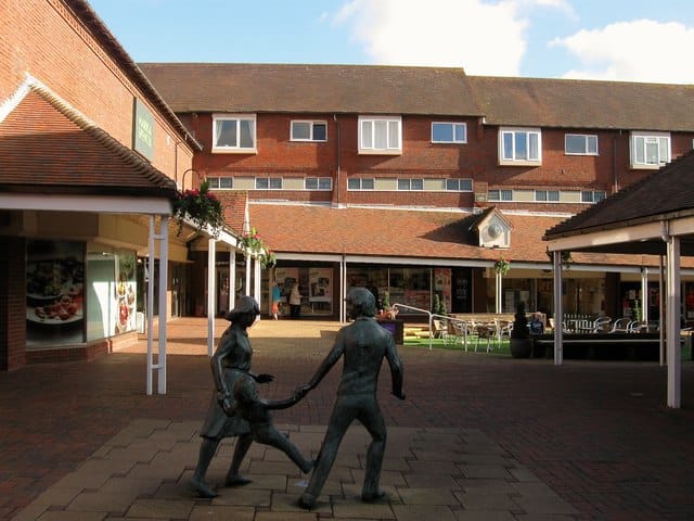 The Bay Tree