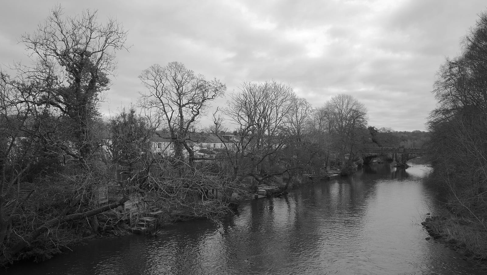 Willow Bridge Cafe
