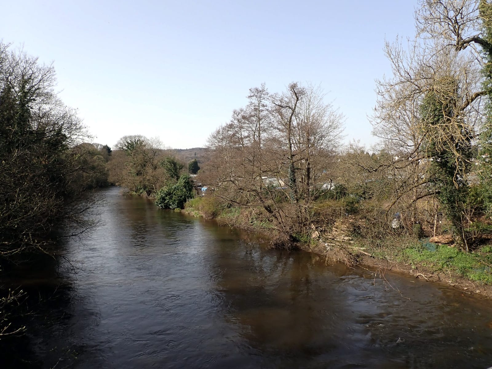 Willow Bridge Cafe photo 2