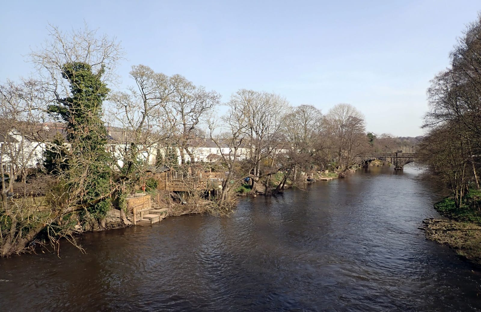 Willow Bridge Cafe photo 4