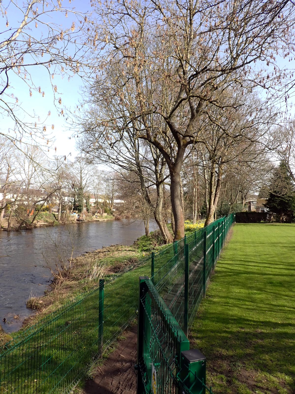 Willow Bridge Cafe photo 3