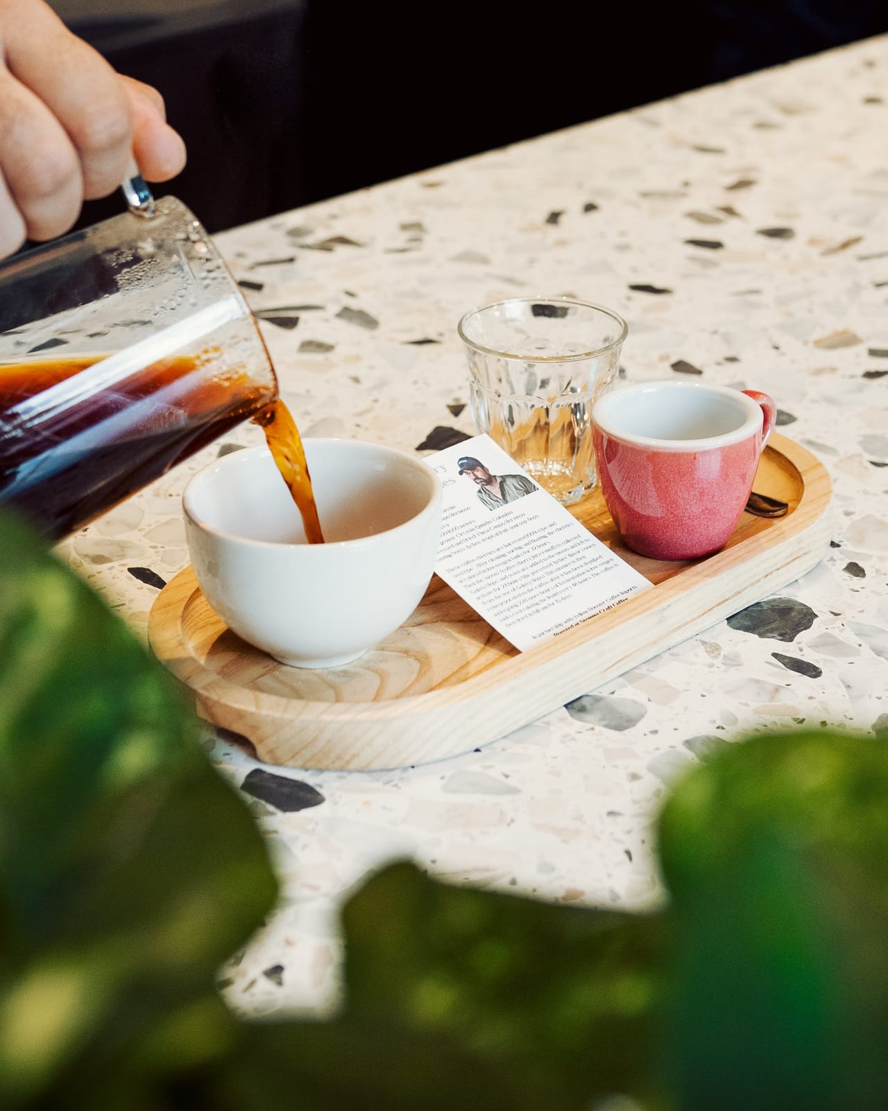 Stemma Craft Coffee photo 2